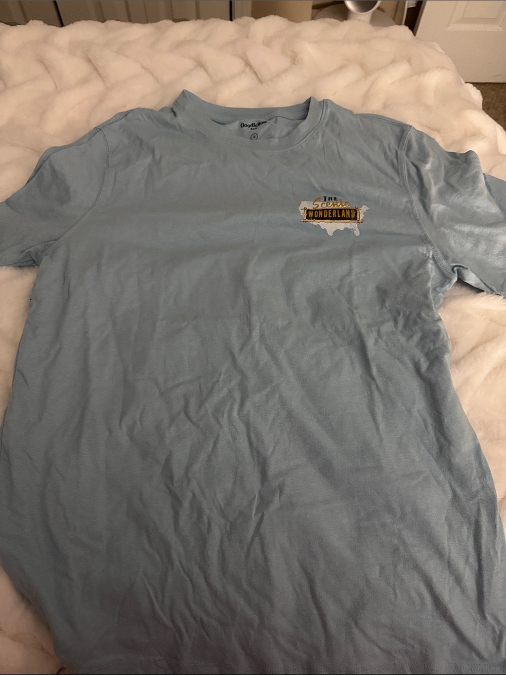 Goodfellow & Co Light Blue 'Wonderland' Graphic Short Sleeve Tee